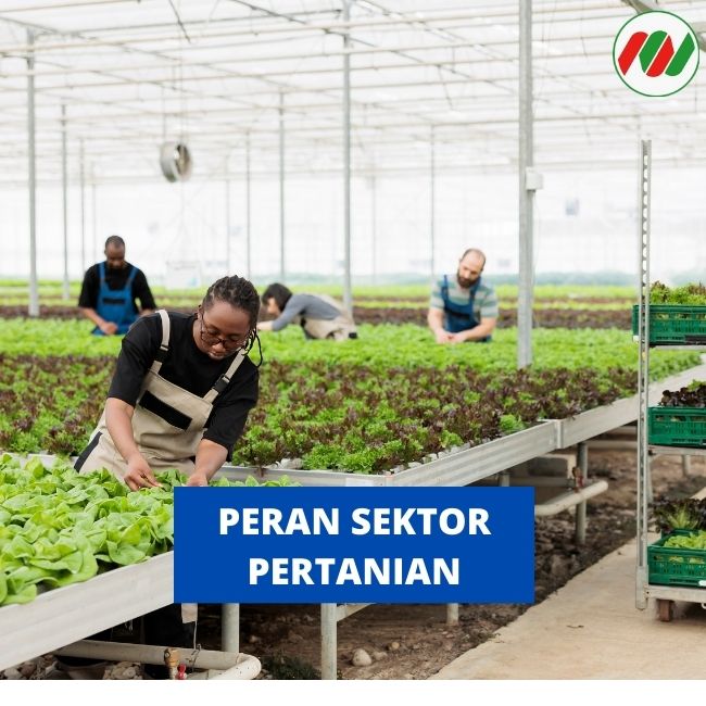 Peran Sektor Pertanian di Indonesia